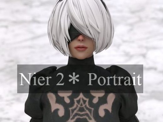 nier 2＊ portrait - superheroinexx