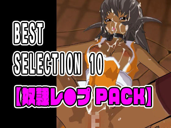 BEST SELECTION 10【奴●レ●プPACK】 - ねこまん