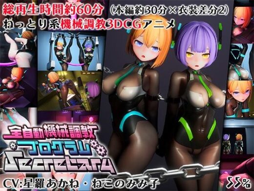 全自動機械調教プログラムSecretary【v1.1】 - 55％